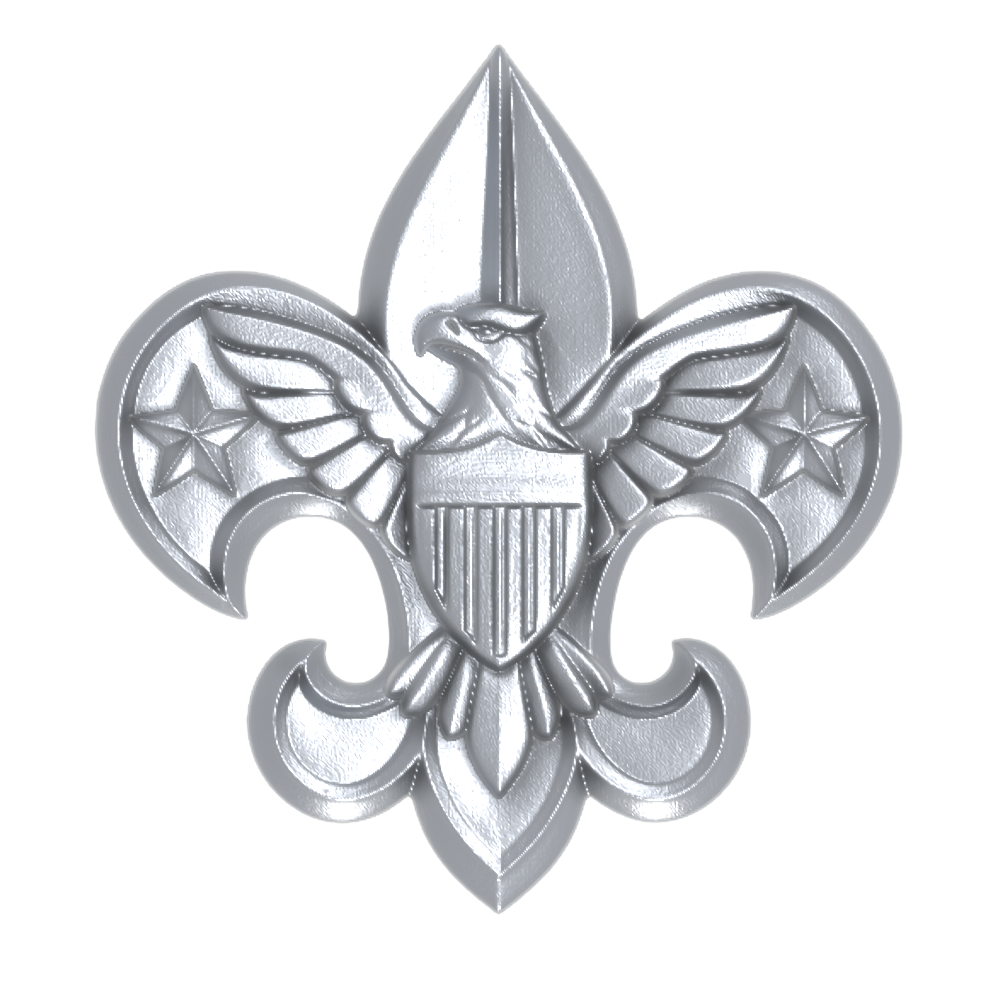 Boy Scouts - Universal Emblem