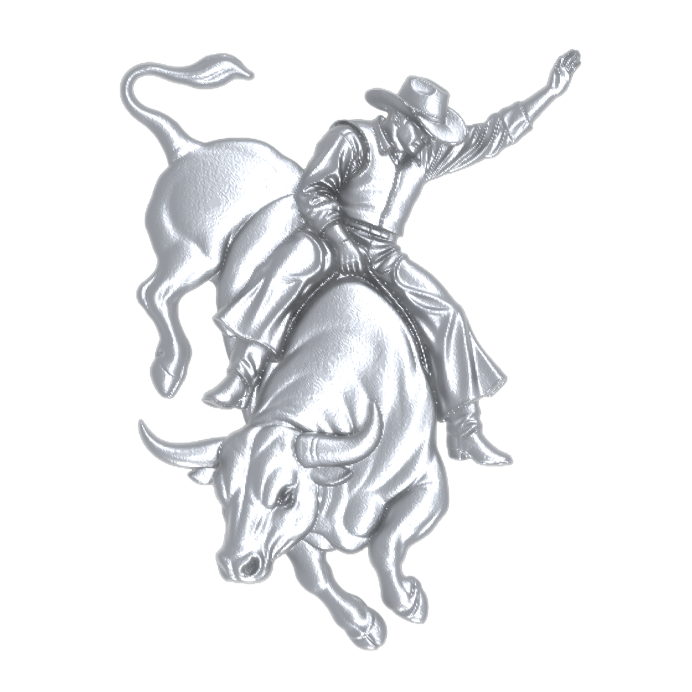 Bull Riding