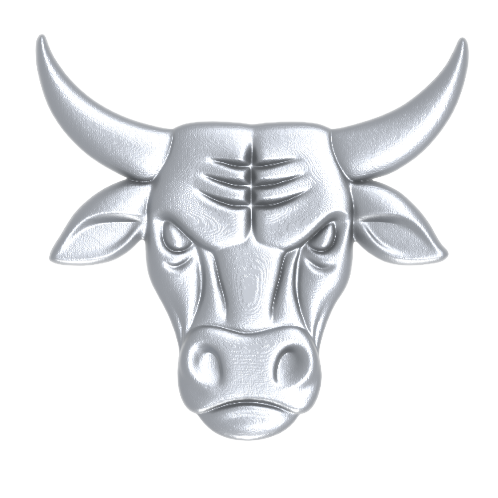 Diamond Bar High — Brahmas