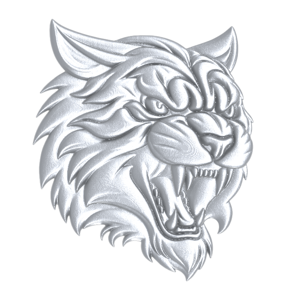 University High School Charter